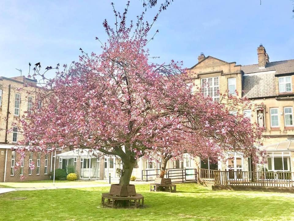 Endsleigh Park Hotel Кінгстон-апон-Галл Екстер'єр фото